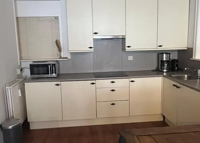 Franciscus * Berg-op-Zoom